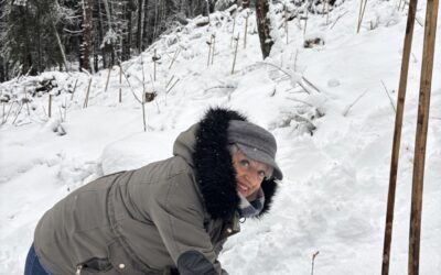 OSINGULIER engagé sur le terrain : lancement réussi du projet ADOPTE 1 ARBRE !
